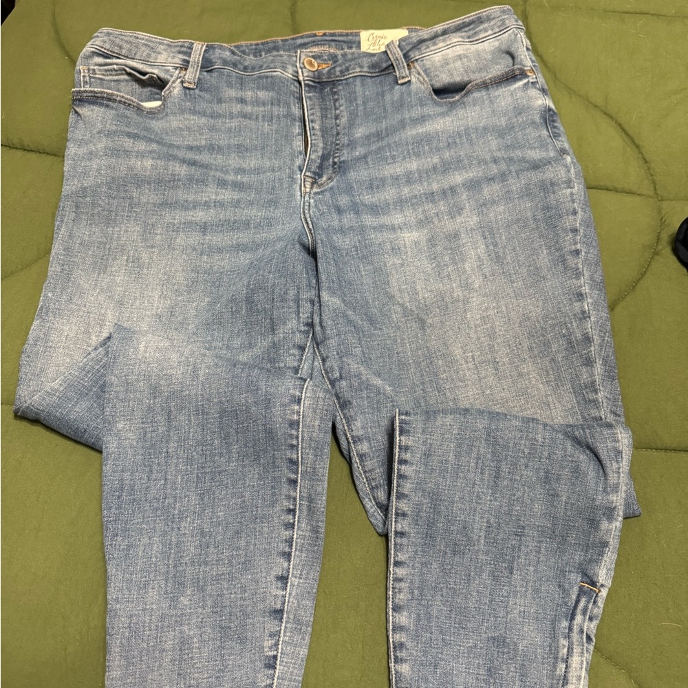 Classic Denim Skinny Jeans